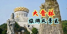 逼插网站中国浙江-绍兴大香林旅游风景区